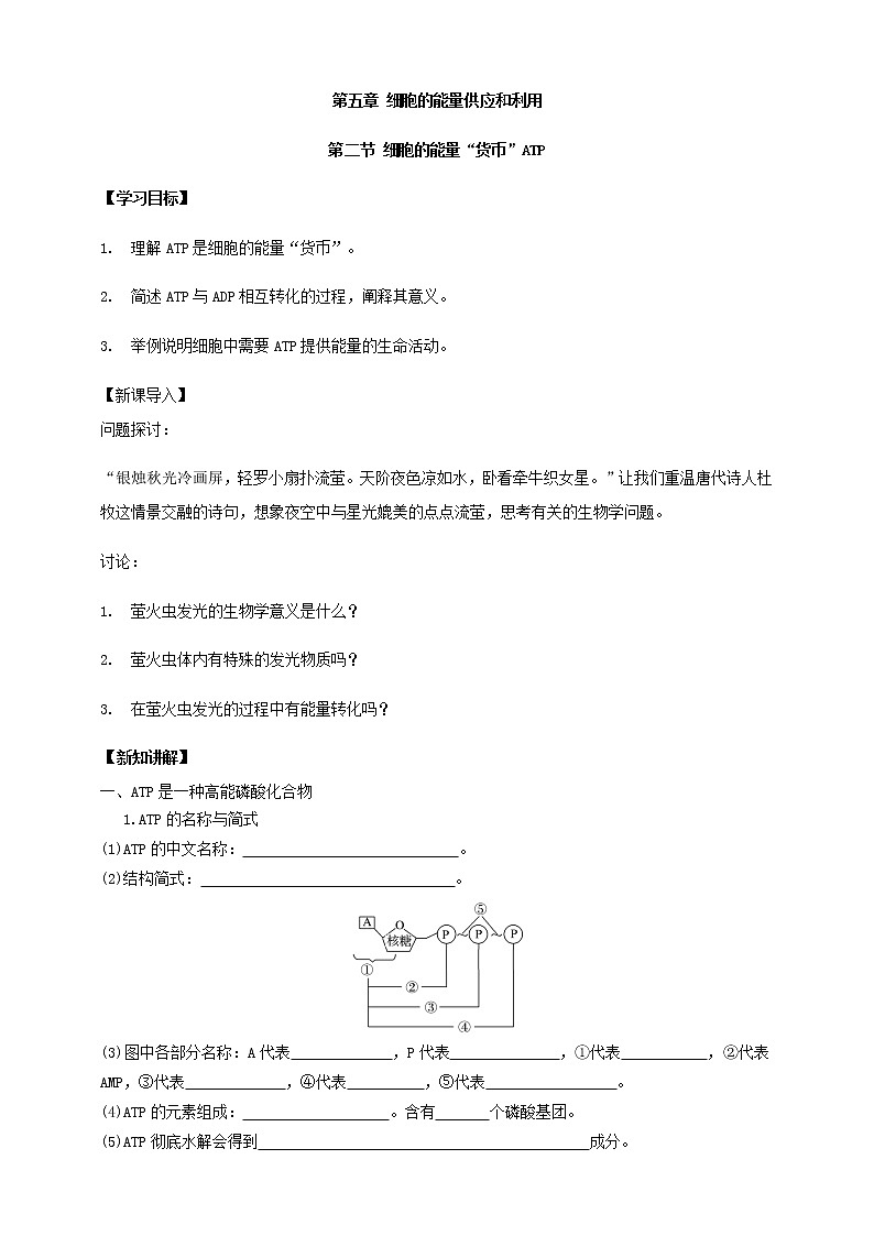 高中生物必修一 5.2细胞的能量“货币”ATP学学案01