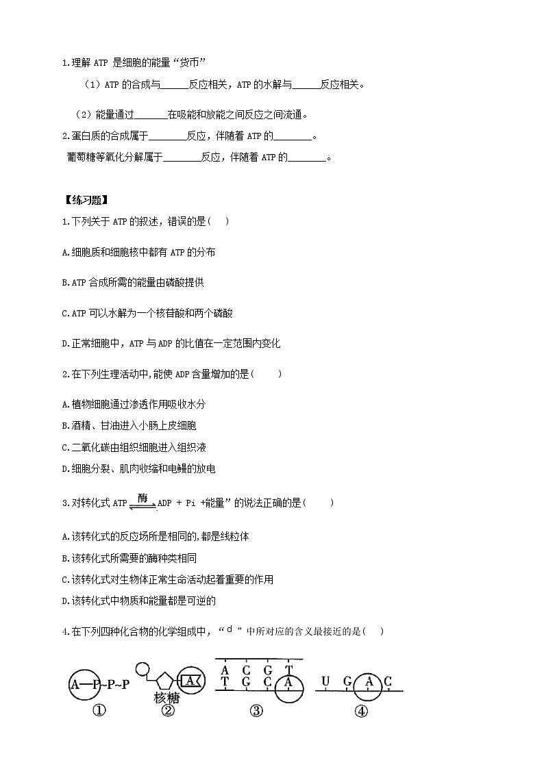 高中生物必修一 5.2细胞的能量“货币”ATP学学案03