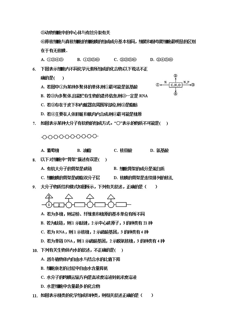 高中生物必修一 2019-2020学年山东省淄博第一中学高一上学期期中模块考试生物试题第2页