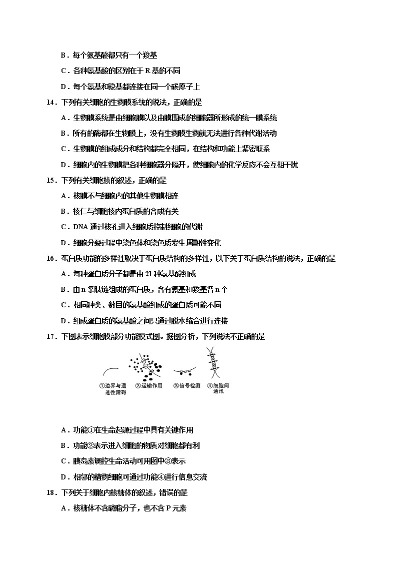 高中生物必修一 2019-2020学年山东省五莲县高一上学期模块检测（期中）生物试题03