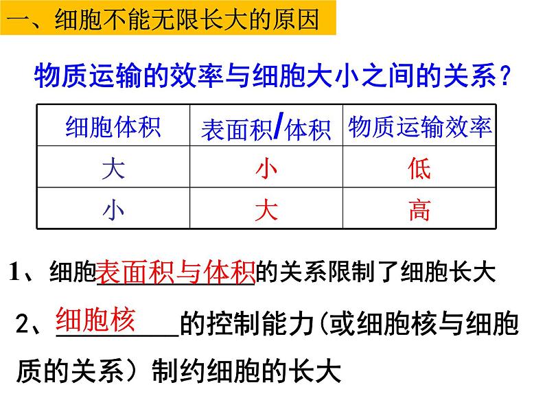 2023届高考生物一轮复习课件细胞增殖03