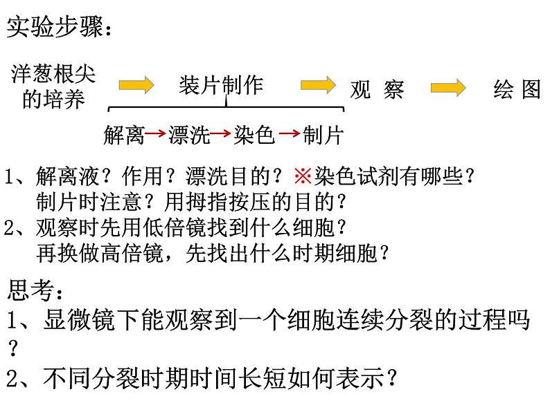 2023届高考生物一轮复习课件细胞增殖06