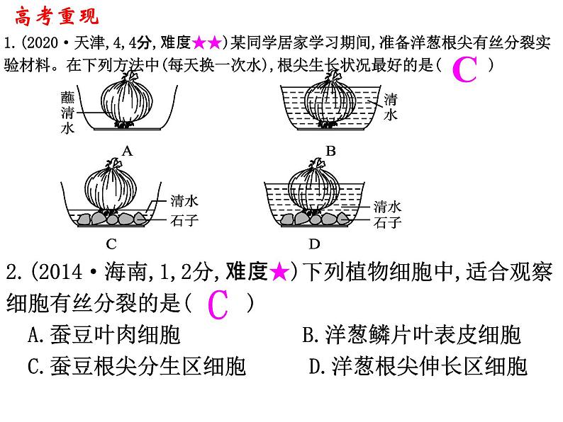 2023届高考生物一轮复习课件细胞增殖07