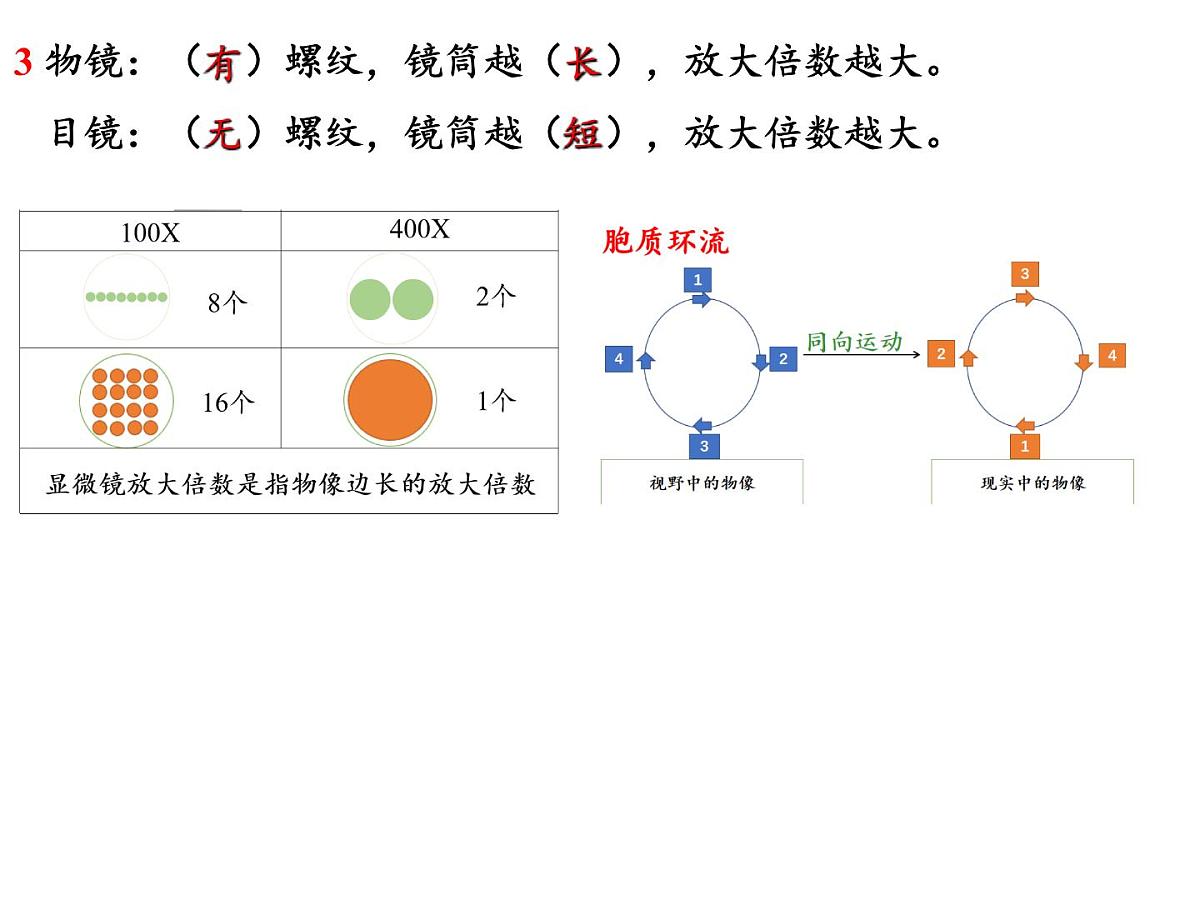 2023届高三生物一轮复习课件：分子与细胞部分内容第4页