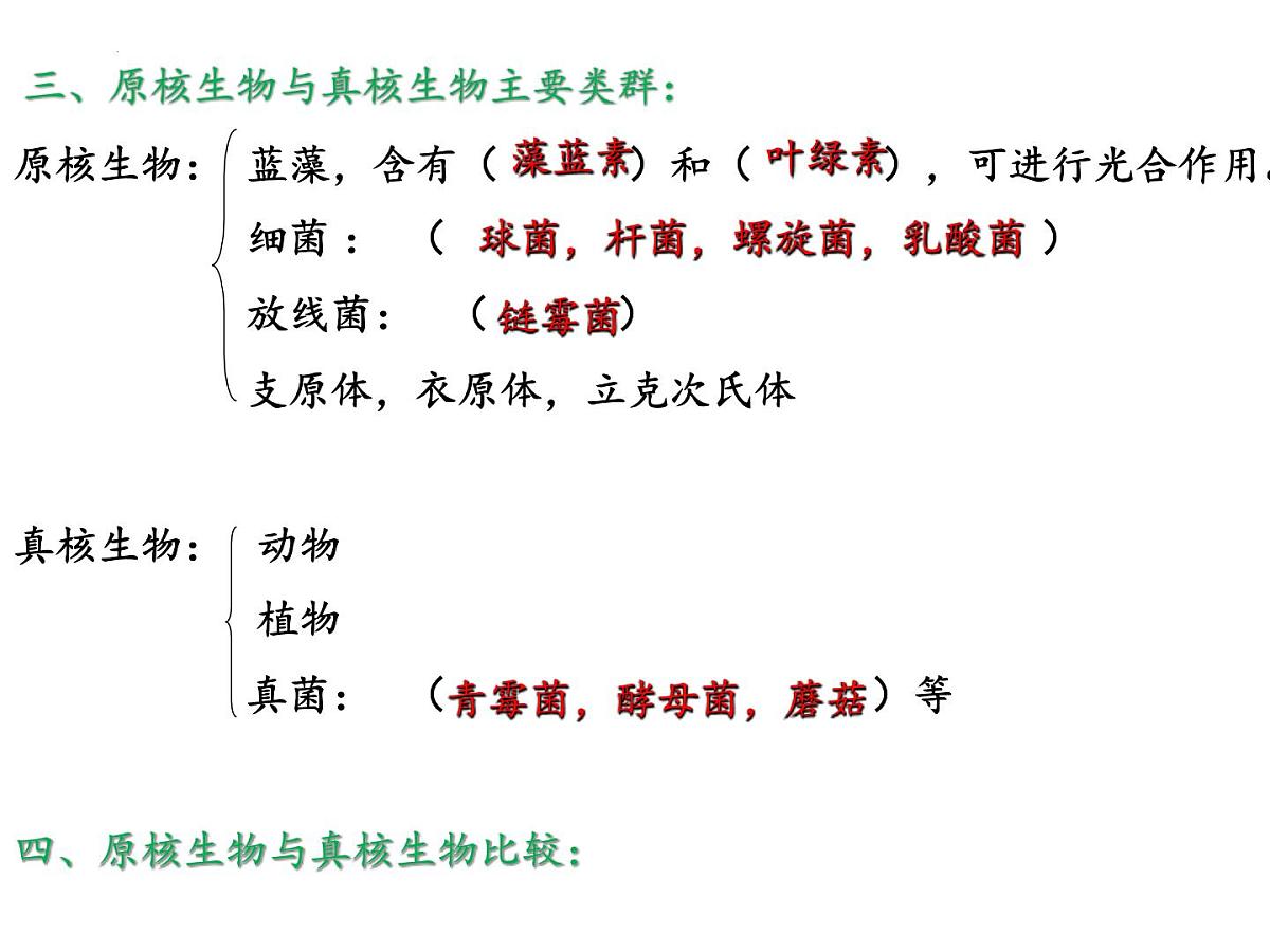 2023届高三生物一轮复习课件：分子与细胞部分内容第5页