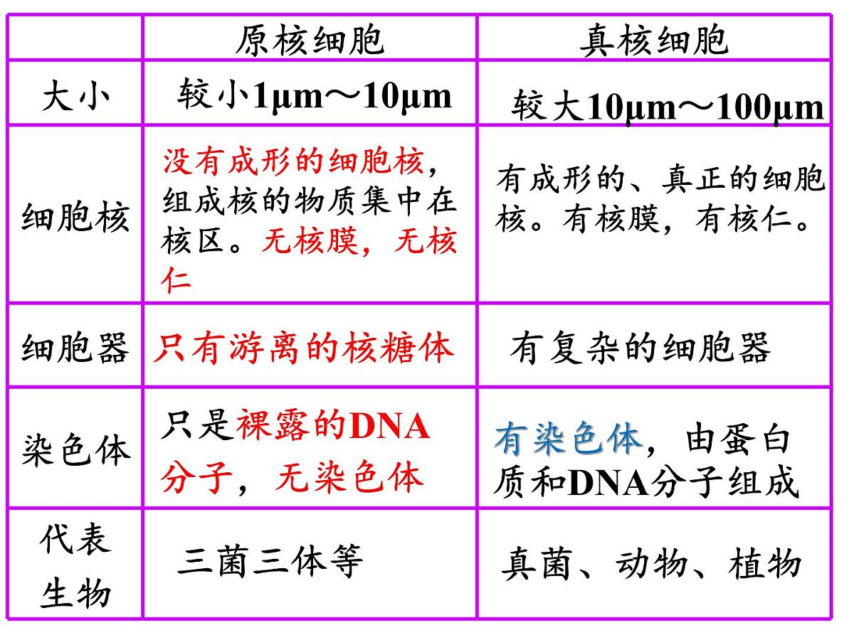 2023届高三生物一轮复习课件：分子与细胞部分内容第6页