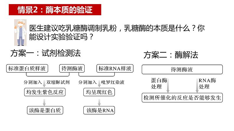 2022届高三生物一轮复习：酶的相关实验  课件第3页