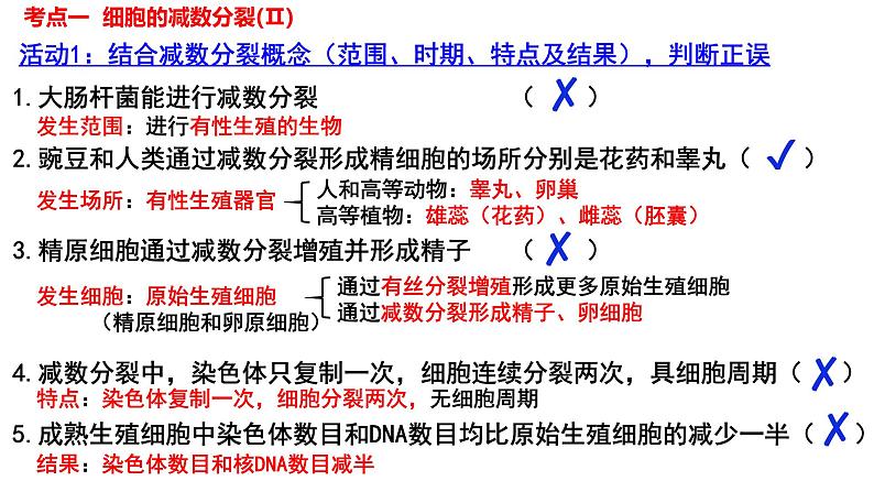 2023届高考生物一轮复习课件减数分裂和受精作用第3页