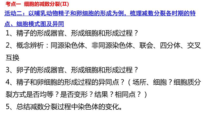 2023届高考生物一轮复习课件减数分裂和受精作用第4页