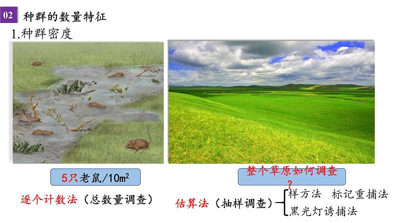 2023届高三一轮复习课件：种群的数量特征和变化第4页