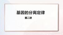 2022届高三生物一轮复习课件：基因的分离定律