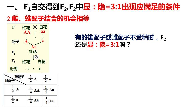 2022届高三生物一轮复习课件：基因的分离定律第3页