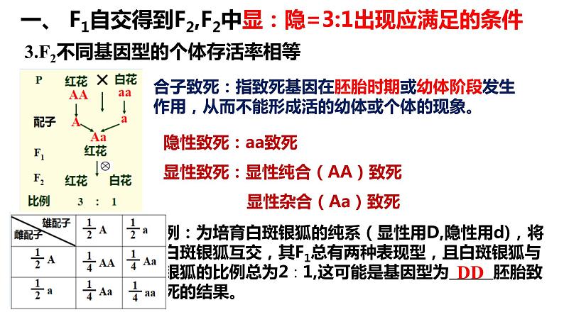 2022届高三生物一轮复习课件：基因的分离定律第4页