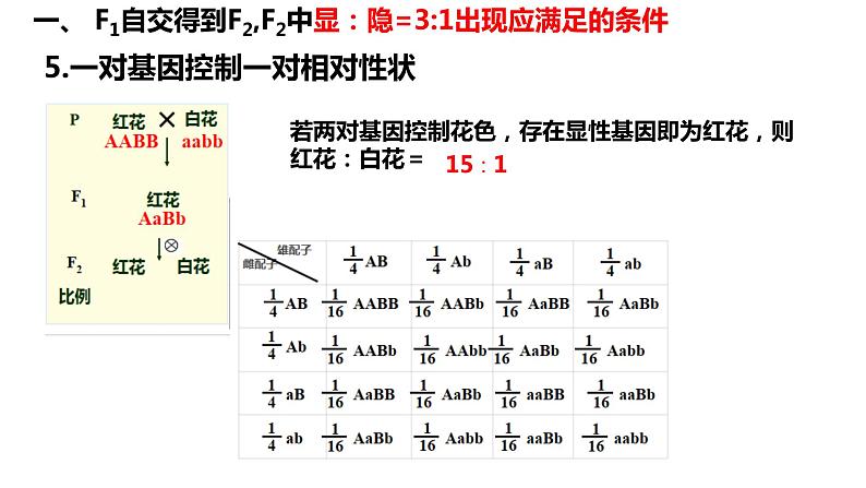 2022届高三生物一轮复习课件：基因的分离定律第6页