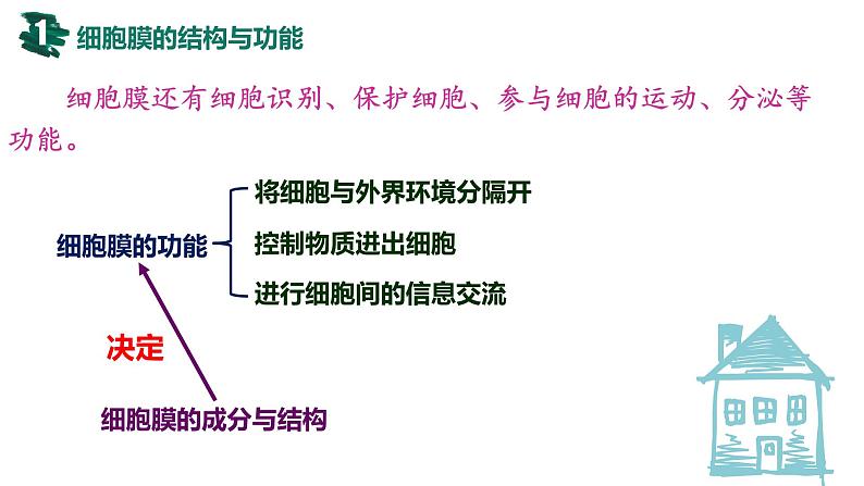 2023届高三生物一轮复习课件：细胞膜与细胞核第7页