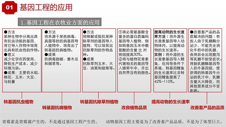 3.3和3.4  基因工程的应用和蛋白质工程第3页