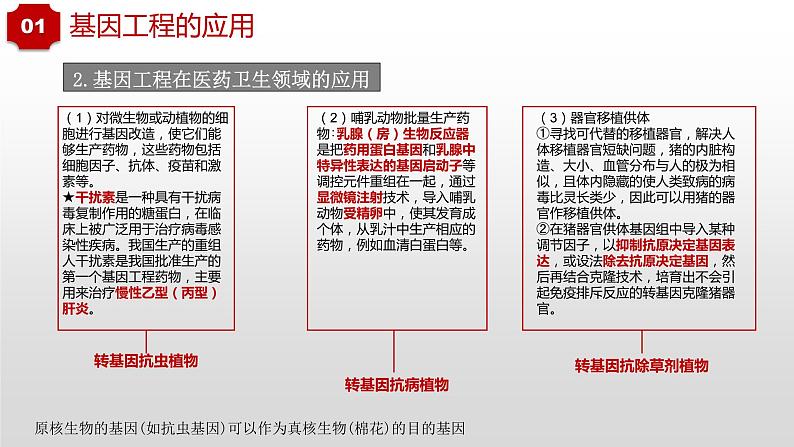 3.3和3.4  基因工程的应用和蛋白质工程第4页