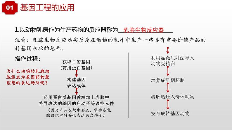 3.3和3.4  基因工程的应用和蛋白质工程第6页