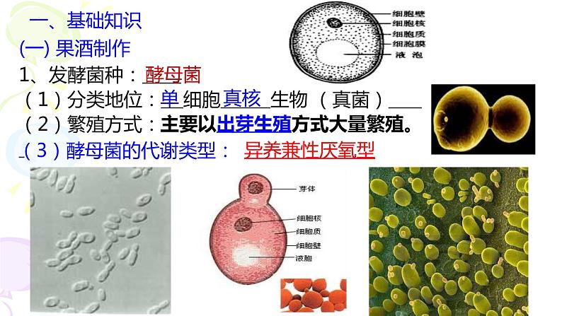 2023届高考生物一轮复习课件  果酒果醋的制作第7页