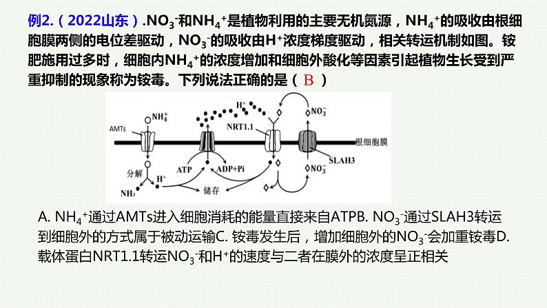 2023届高三生物一轮复习课件：第6讲 细胞的物质输入和输出-第2课时第4页