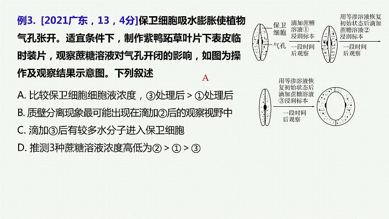 2023届高三生物一轮复习课件：第6讲 细胞的物质输入和输出-第2课时第6页