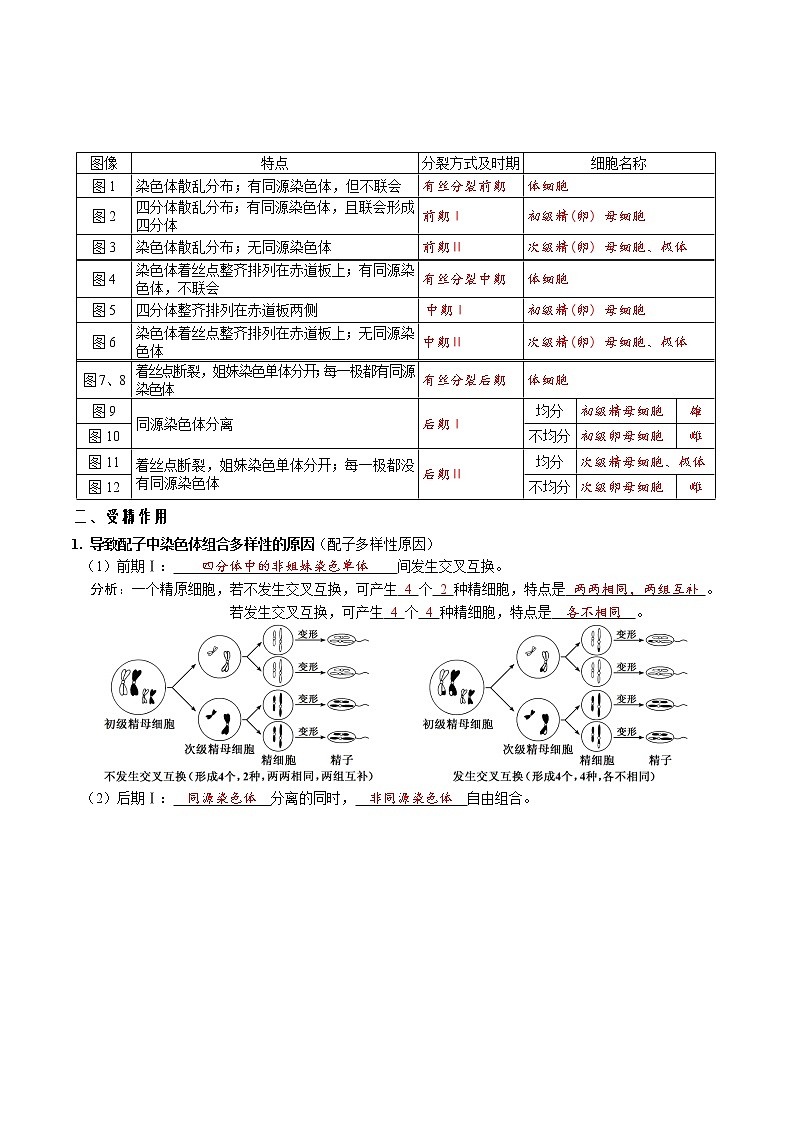 第二章 基因和染色体的关系-【必背知识】2021-2022学年高一生物章节知识清单（人教版2019必修2）（含答案）第3页