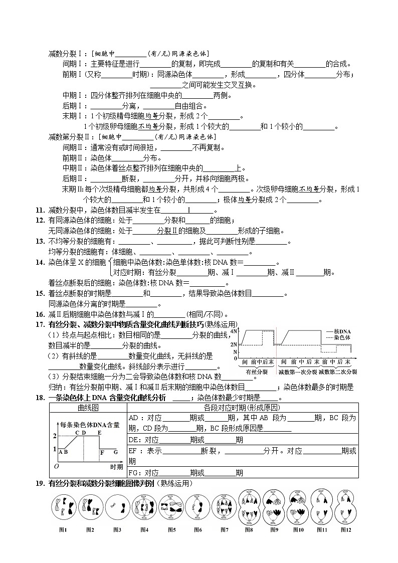 第二章 基因和染色体的关系-【必背知识】2021-2022学年高一生物章节知识清单（人教版2019必修2）（填空版）02