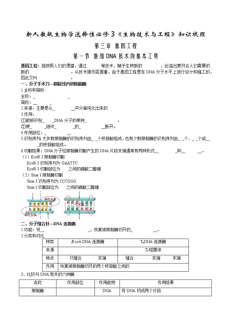 第三章  基因工程-【必背知识】2021-2022学年高二生物章节知识清单（人教版2019选择性必修3）（填空版）第1页