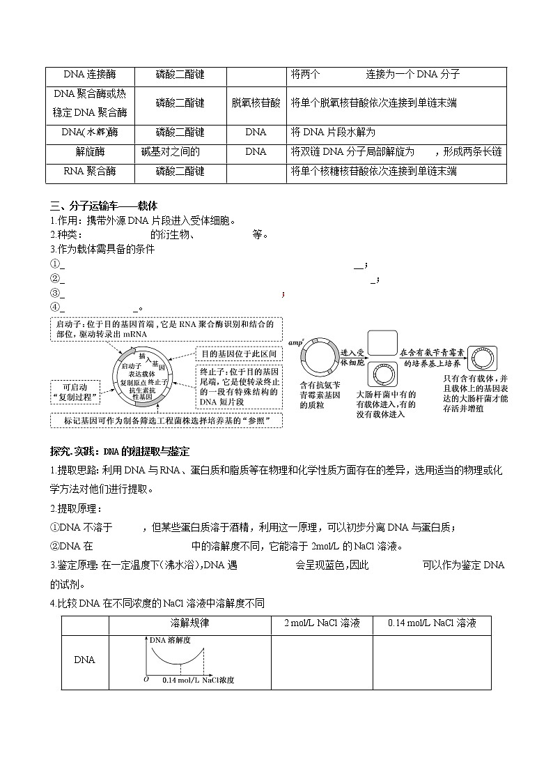第三章  基因工程-【必背知识】2021-2022学年高二生物章节知识清单（人教版2019选择性必修3）（填空版）第2页