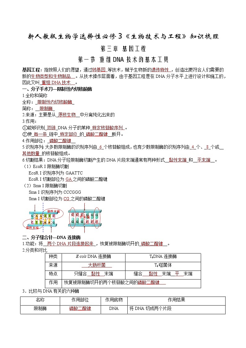 第三章  基因工程-【必背知识】2021-2022学年高二生物章节知识清单（人教版2019选择性必修3）（含答案）第1页