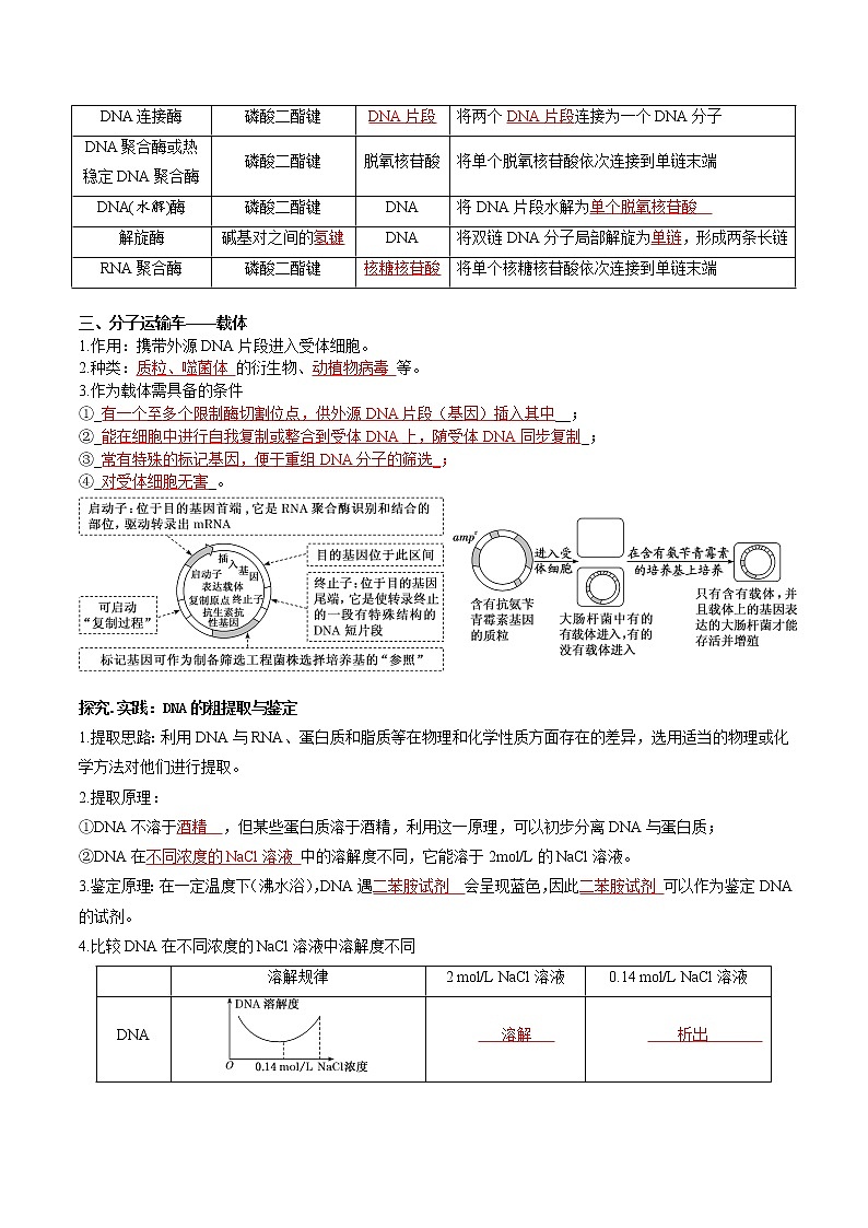 第三章  基因工程-【必背知识】2021-2022学年高二生物章节知识清单（人教版2019选择性必修3）（含答案）第2页