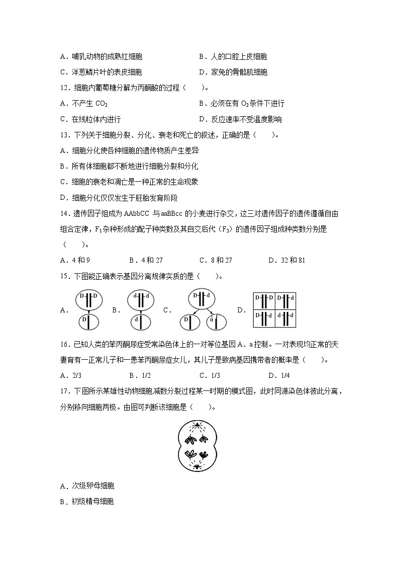 2022年6月福建省普通高中学业水平合格性考试生物仿真模拟试卷 02（无答案）03