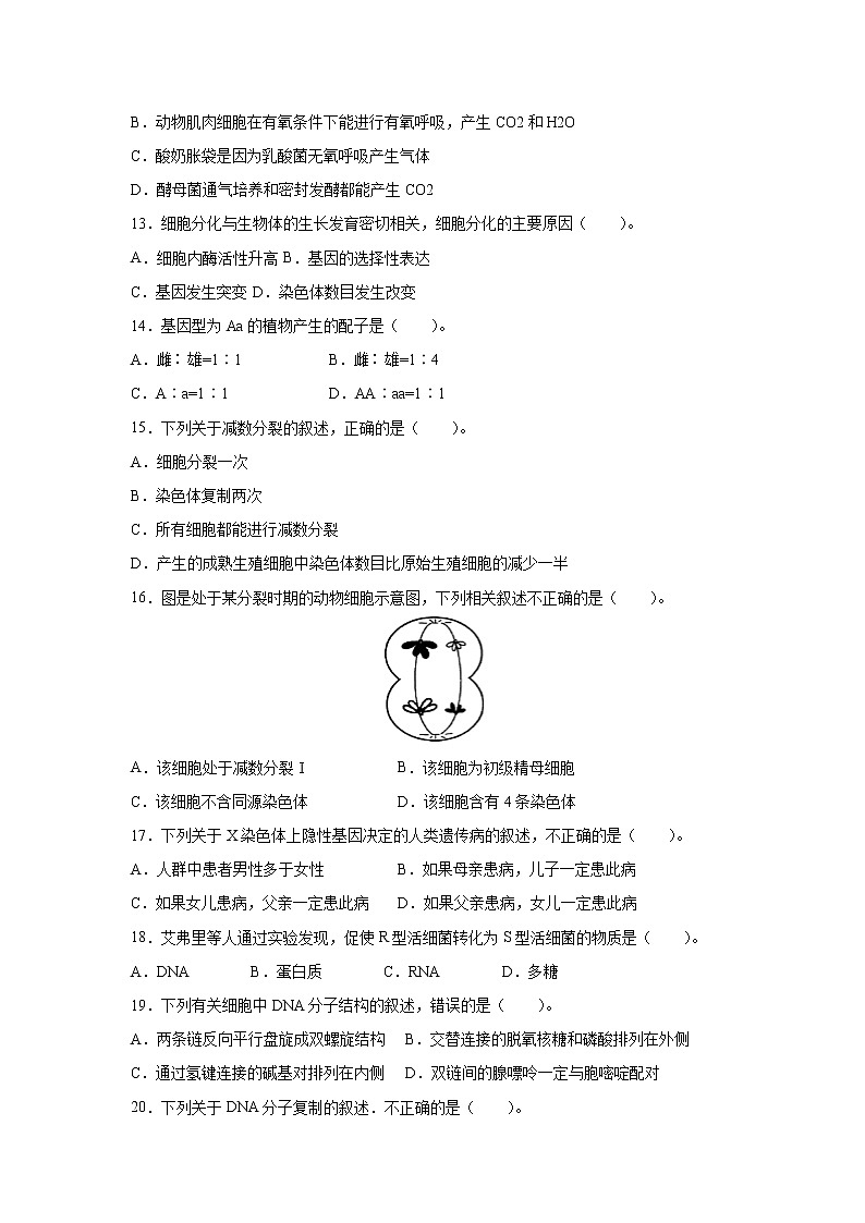 2022年6月福建省普通高中学业水平考试生物仿真模拟试卷05（无答案）03