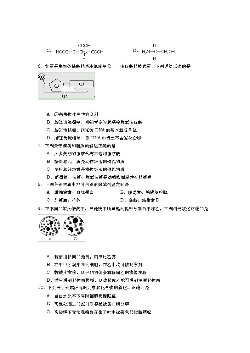 高中生物必修一 2019-2020学年山东省平度市第九中学高一上学期期中考试生物试卷02