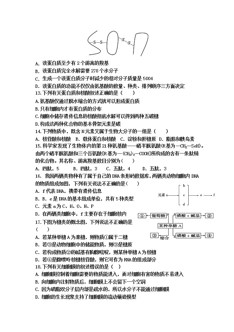 高中生物必修一 2019-2020学年山东省宁阳一中高一上学期期中考试  生物03