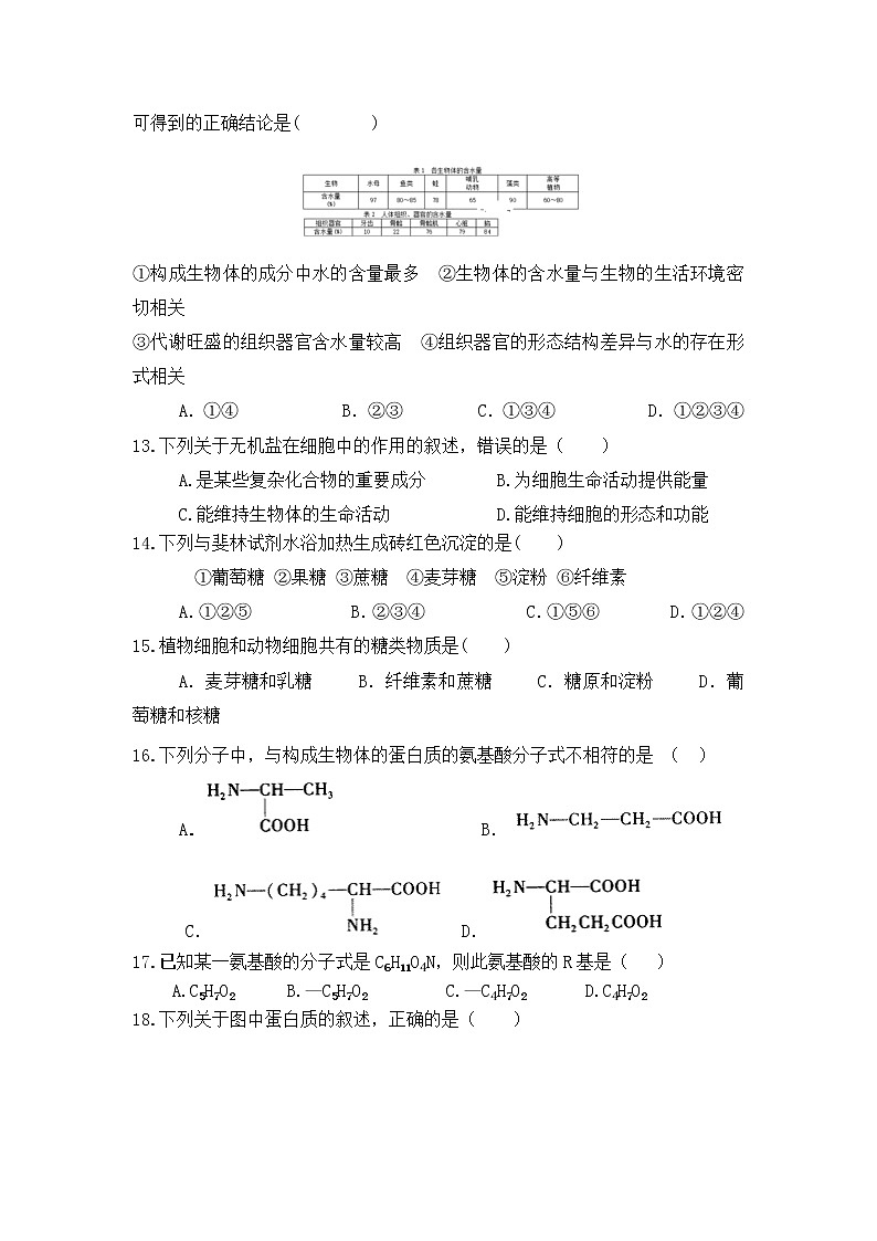 高中生物必修一 2019-2020学年海南省临高县临高中学高一上学期期中考试生物试卷03
