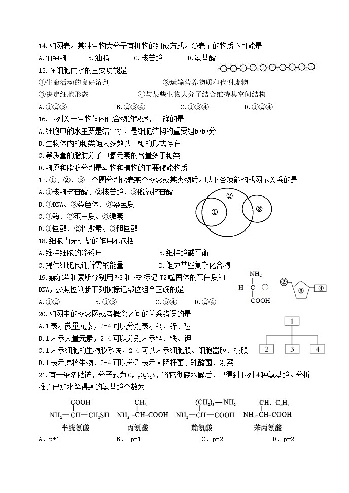 高中生物必修一 2019-2020学年天津市耀华中学高一上学期期中形成性检测生物试题03