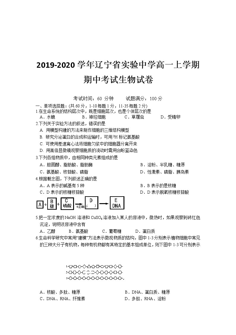 高中生物必修一 2019-2020学年辽宁省实验中学高一上学期期中考试生物试卷01