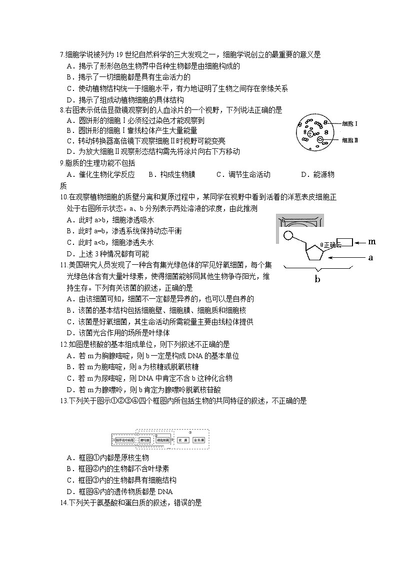 高中生物必修一 2019-2020学年辽宁省实验中学高一上学期期中考试生物试卷02