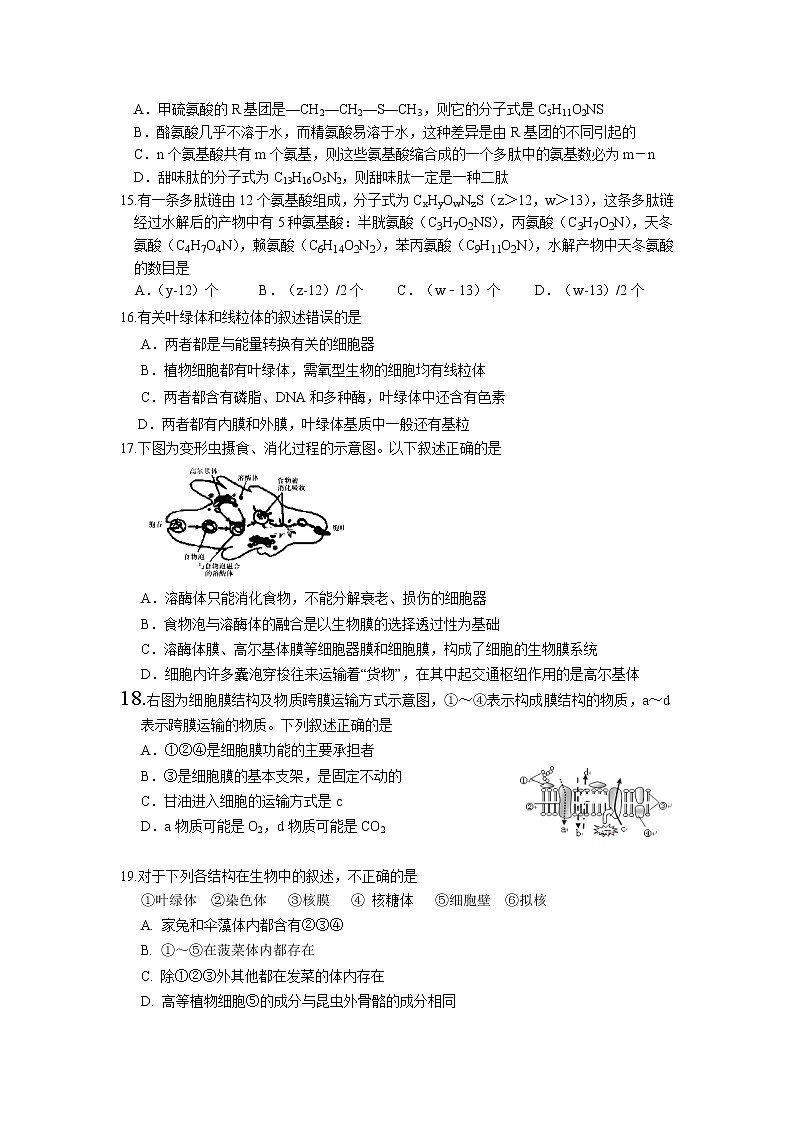 高中生物必修一 2019-2020学年辽宁省实验中学高一上学期期中考试生物试卷03