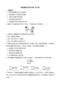 人教版 (2019)必修1《分子与细胞》第1节 细胞膜的结构和功能课前预习课件ppt