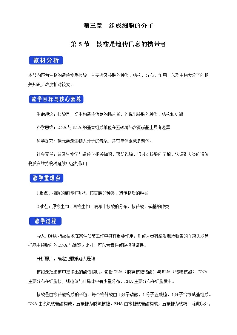 高中生物必修一 《第5节 核酸是遗传信息的携带者》集体备课教学案教学设计01