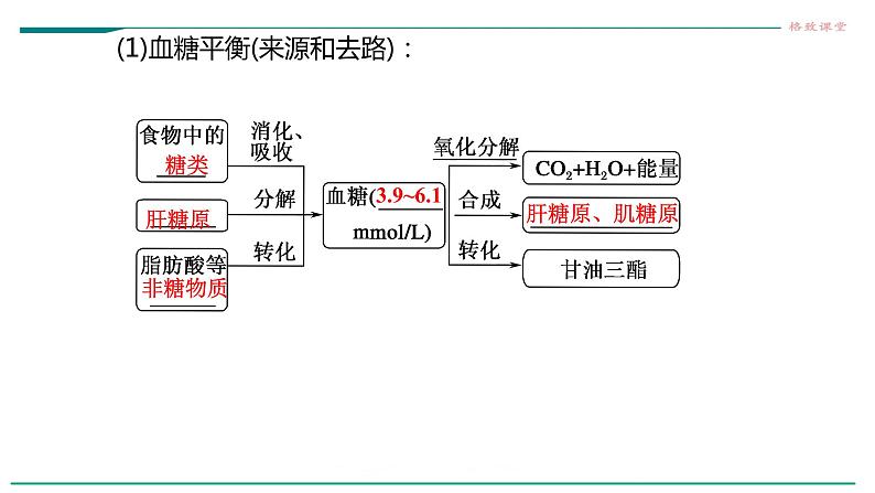 高中生物选择性必修一   第二节  激素调节的过程 课件06