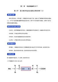 人教版 (2019)必修1《分子与细胞》第4节 蛋白质是生命活动的主要承担者教学ppt课件