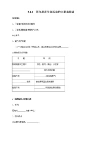 人教版 (2019)必修1《分子与细胞》第2章 组成细胞的分子第4节 蛋白质是生命活动的主要承担者多媒体教学ppt课件