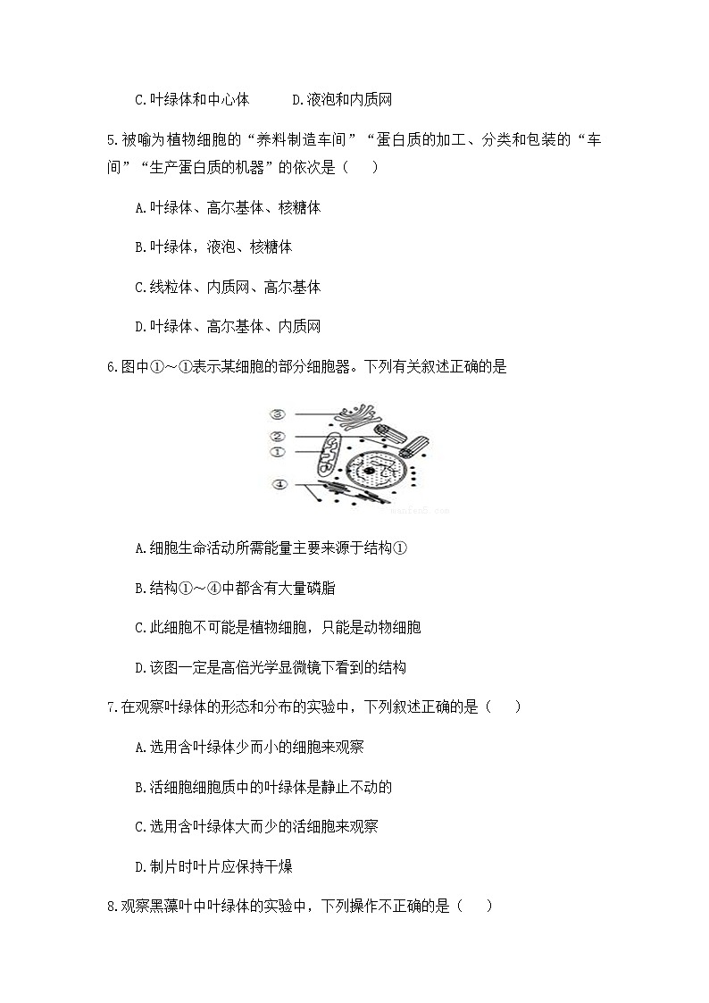 高中生物必修一 3.2 细胞器之间的分工合作 练习 （含视频和思维导图）第2页