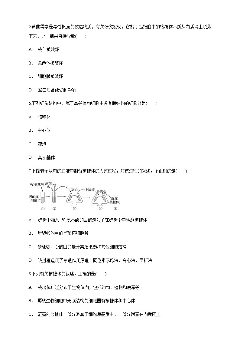 高中生物必修一 3.2.1 细胞器之间的分工合作 练习（无答案）第2页