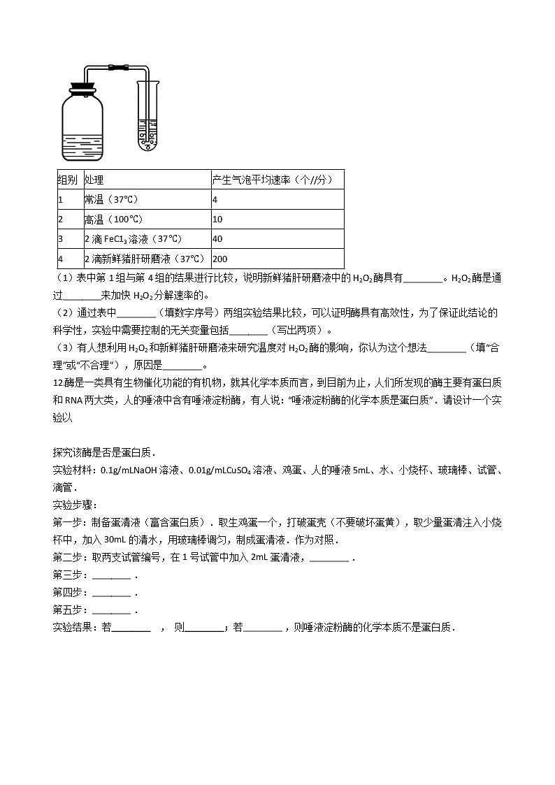 高中生物必修一 5.1 第一课时  酶的作用和本质 同步练习(无答案)第3页