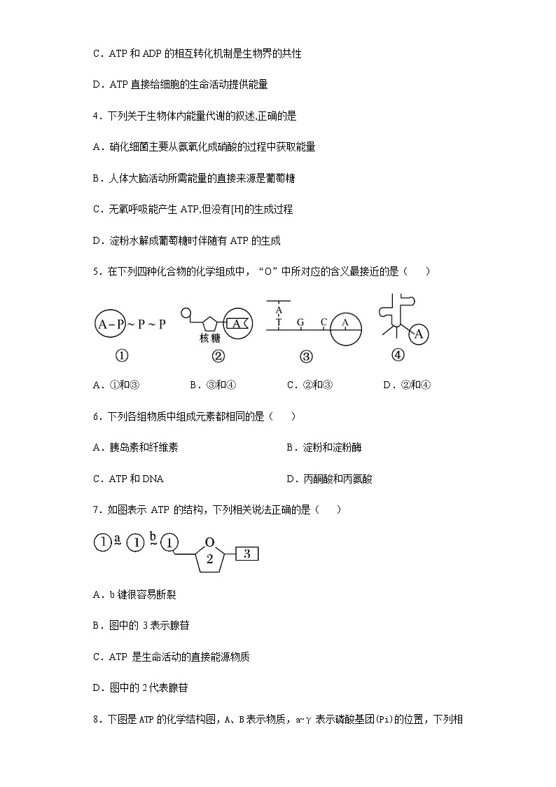 高中生物必修一 5.2 细胞的能量“货币”——ATP 练习第2页