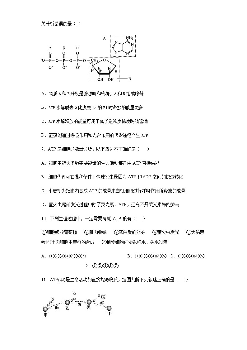 高中生物必修一 5.2 细胞的能量“货币”——ATP 练习第3页